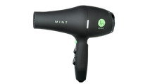 Load image into Gallery viewer, Mint Black Bird Blowdryer