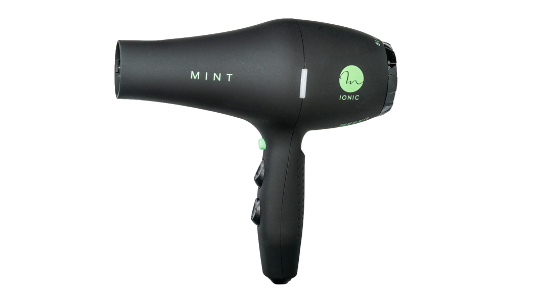 Mint Black Bird Blowdryer